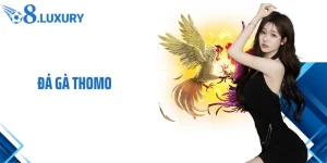 Đá Gà Thomo- Trải Nghiệm Cá Cược Hấp Dẫn Đỉnh Cao