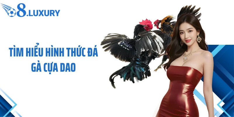 Tìm hiểu hình thức đá gà cựa dao