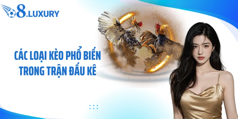 Các loại kèo phổ biến trong trận đấu kê